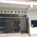 인제종합동물병원 이미지