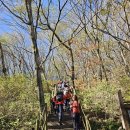 제180차 전북 장수군 장안산(1,237m) 정기산행(10/26) 이미지