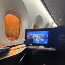 인천 캘거리직항 웨스트젯 비즈니스석 후기