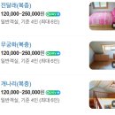 소금강행복펜션 이미지