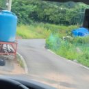 순천, 전주 여행 숙소 정리(에어비앤비 검색 노하우)