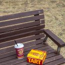 (11/27)과일 치즈타르트 | 수원 행궁동 디저트 카페 선물 포장 맛집 오늘의치즈타르트