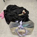 (유)영광자동차공업사 | [블챌]#6_콘서트 다녀온 후 세상이 아름다워 보이는 현상 실제임이 밝혀짐 (부제: 플레이브 콘서트 후기)