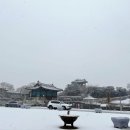 달보드레제과점 | 수원 행궁동 데이트(1) - 깔끔담백 우동 맛집 열두알우동집, 유퀴즈에 나왔던 빵집 달보드레 유기농제빵소