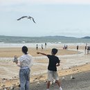 대천카서비스 | 충남 보령 가족여행 #1 대천해수욕장 대천항수산시장