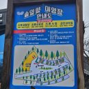 캠핑파크 | 250422-23 시흥 솔잎향캠핑파크 글램핑장 내돈내산 솔직한 후기