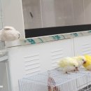 마리키엘 이미지