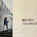 사랑은 봄비처럼 이별은 겨울비처럼(가사/ 악보) - 임현정 이미지
