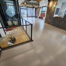 캄그루밍 이미지