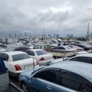 카솔루션 이미지