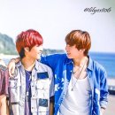 종현 카카오 검색결과