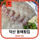 덕산활어횟집