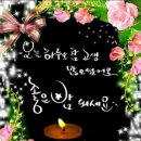 생의찬가 이미지