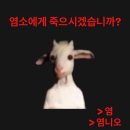 금산군푸드트럭존 | 먼지와 티끌이 맞닿는 곳으로