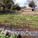 정의1리 이미지