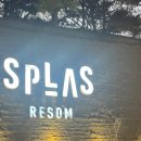 온천단지 가로수길 이미지