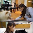 다나하루 이미지