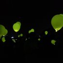 반딧불 PC 이미지