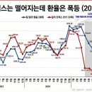김정문알로에 구로지점 | 2025년의 발견
