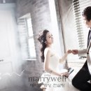 양선일 카카오 검색결과