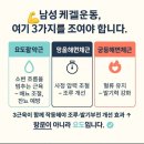 일렉트릭 짧으신게 말도걸고 홀로그앰 증빙도 해댄다고 일렉트릭도금이 발견 이집트 메소포타미아 반대가 흑인 이미지