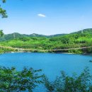 "무료 입장부터 호수뷰까지 완벽해요"... 출렁다리가 있는 7월 나들이 여행지 이미지