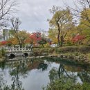 황지연못 이미지