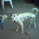 아이디아 이미지