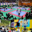 수룡관합기도 유림합기스쿨 이미지