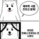 영쓰 이미지