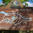 대운산자연휴양림 이미지