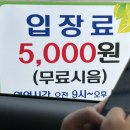 서귀고양이 이미지