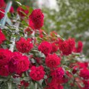 수출대로-5 이미지