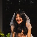 아오이서울
