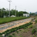 광주대주유소 이미지