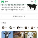 복개천염소탕 네이버블로그