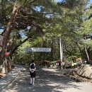 창원 성주사 관음보살입상 | 부처님오신날 맞이 김해 은하사, 밀양 표충사 그리고 33관음성지 순례