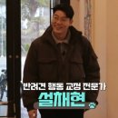 개린이세상 이미지