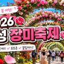 고막농장 | 곡성 장미축제] 기간, 가수 라인업, 개화 실황 및 주차 꿀팁 총정리 (직접 다녀온 솔직 후기 및 추천 동선)