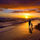 제미니 행정사합동사무소 이미지