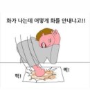 해피퍼피 미용실 | 2025.05(1) 가로 막히면 세로(새로) 시작하면 돼!