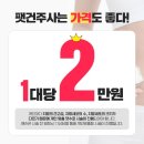 핸슨의원 이미지