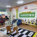 동해랑유치원 | 동해 어린이집 안전교육 후기 | 빛선교 어린이집 안전캠프 (교통·화재·완강기·CPR 체험)