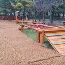 유아숲체험원(2) 이미지