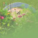 버려진 땅에서 낮게 깔아치던… 600년전 초기 골프와 닮은 파크골프 이미지