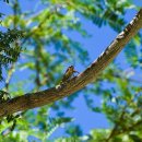 천생초교 이미지