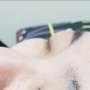 나래속눈썹