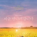 지금 만나러 갑니다 | 비와 함께 찾아오는 기적 일본 영화 ‘지금 만나러 갑니다’ 후기 정보