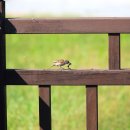 기쁨뜰근린공원 이미지