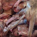 전현무계획2 광주 양동시장 홍어 맛집 위치 및 정보